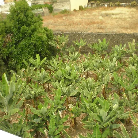 Tejuma 2* Πουέρτο Ντε Λα Κρουζ