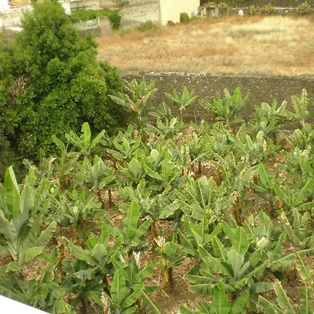 Tejuma 2* بويرتو ذي لا كروز