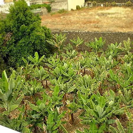 Hotel Tejuma 2*