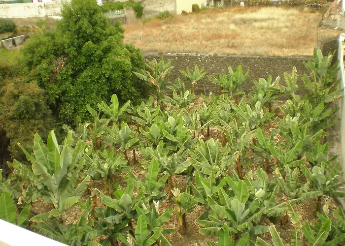 Tejuma 2* פוארטו דה לה קרוז